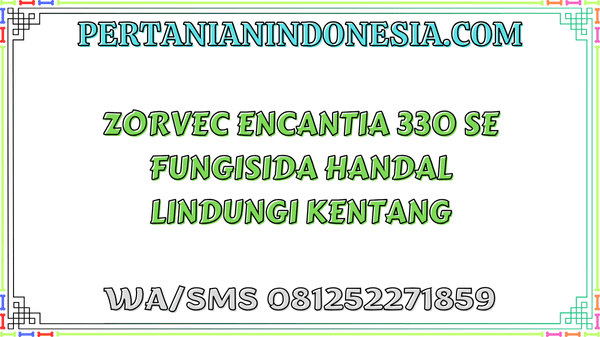 Zorvec Encantia 330 SE Fungisida Handal Lindungi Kentang